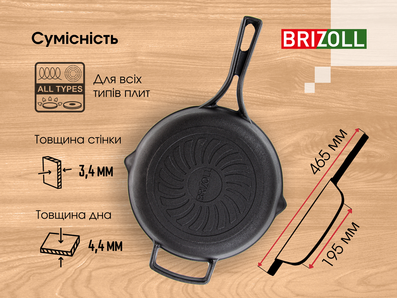 Cast iron pan with iron pen 260 x 60 mm